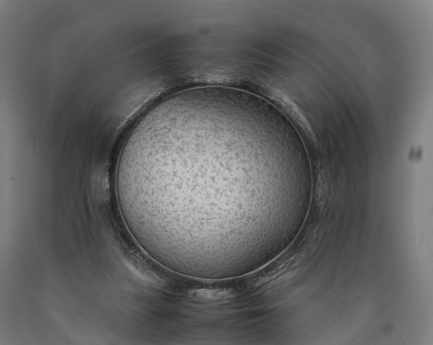 X0000090600251200707311207