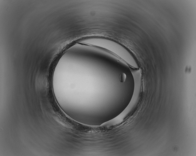 X0000090600252200707311207