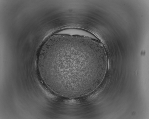 X0000090600253200707311207