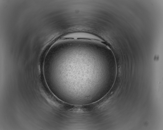 X0000090600254200707311207