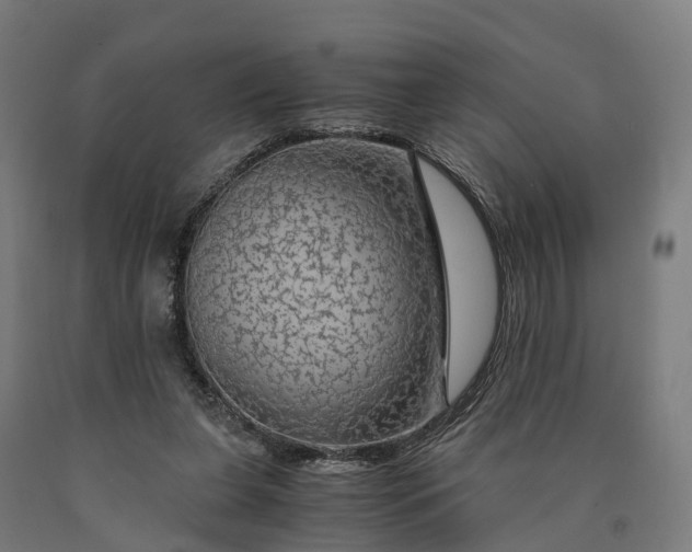 X0000090600255200707311207