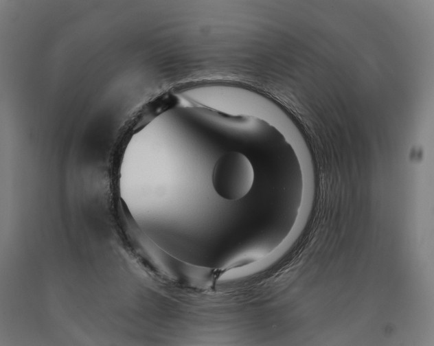 X0000090600256200707311207