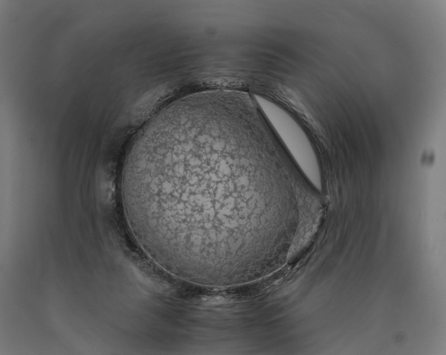 X0000090600259200707311207