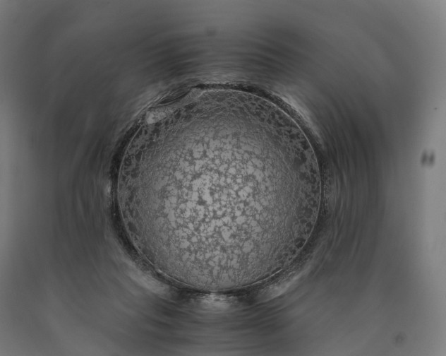 X0000090600261200707311207