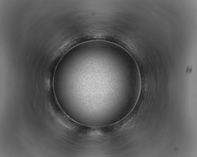 X0000090600262200707311207