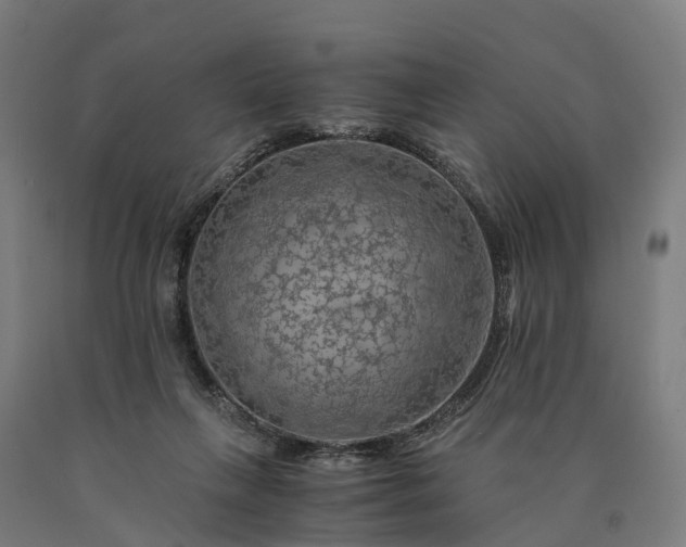 X0000090600263200707311207