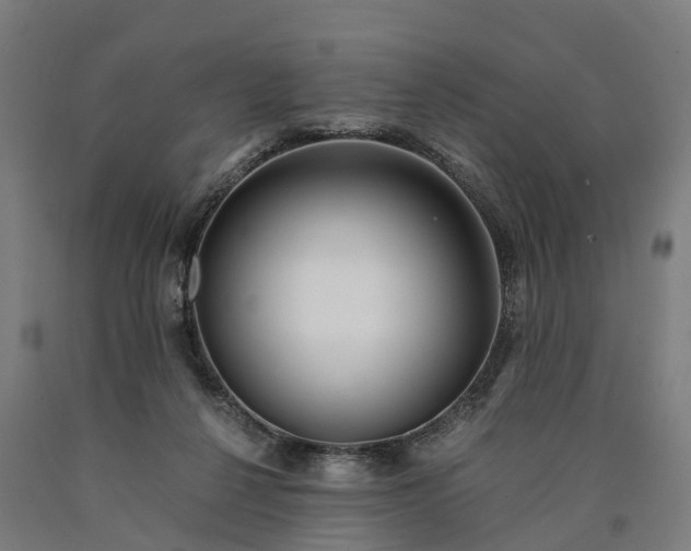 X0000090600264200707311207