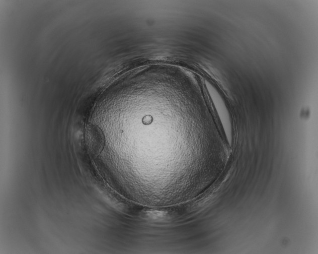 X0000090600265200707311207