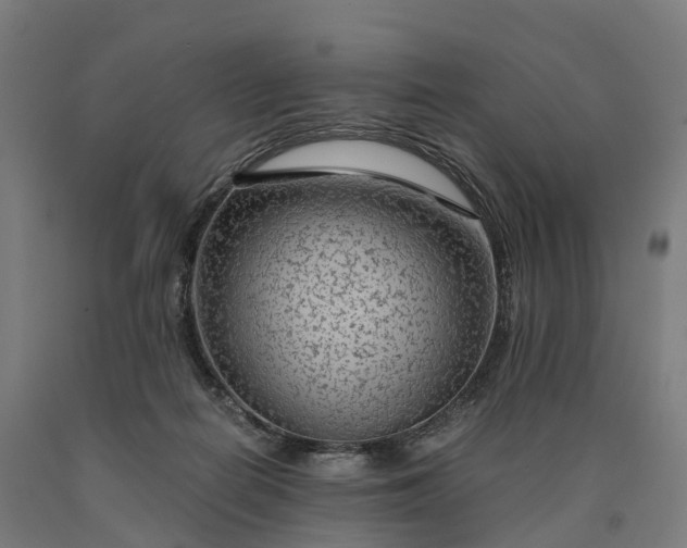 X0000090600266200707311207