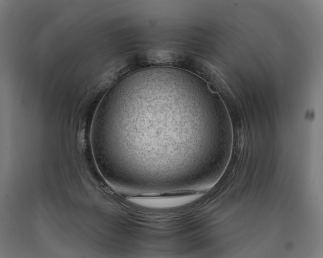 X0000090600267200707311207