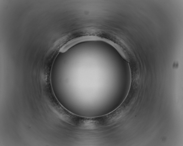 X0000090600268200707311207