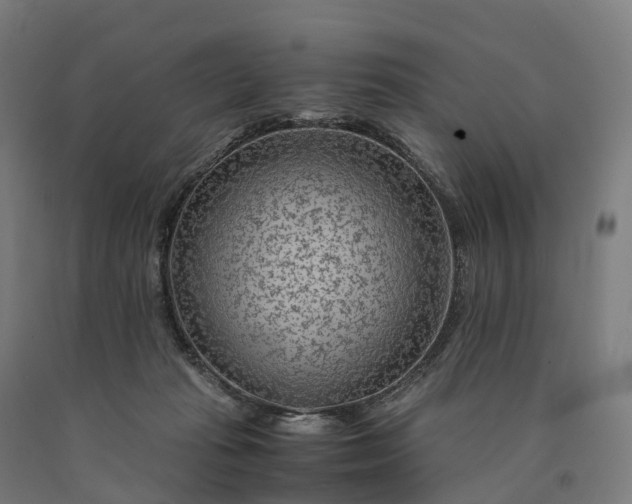 X0000090600269200707311207