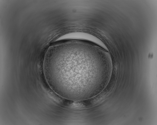 X0000090600270200707311207