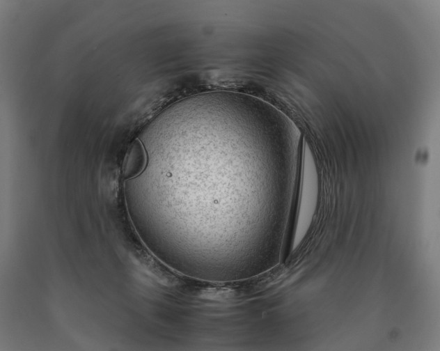 X0000090600271200707311207