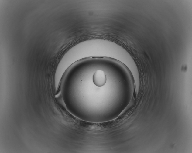 X0000090600272200707311207