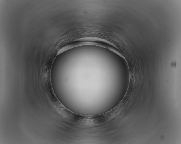 X0000090600276200707311207