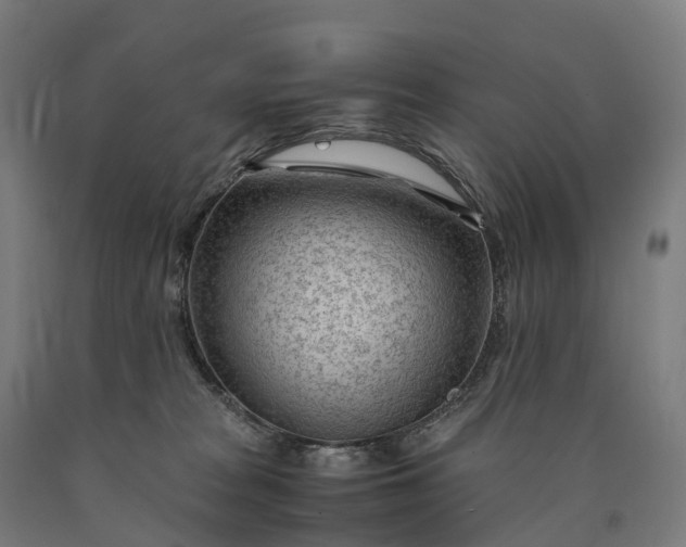 X0000090600277200707311207