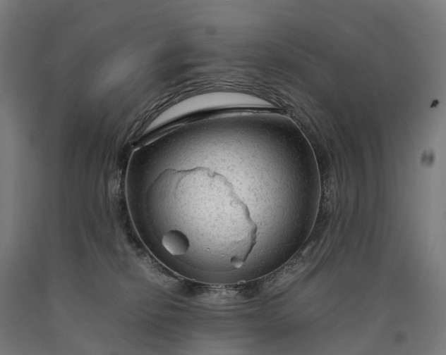 X0000090600278200707311207