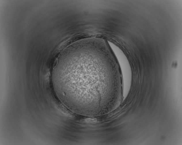 X0000090600279200707311207