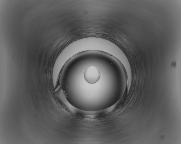 X0000090600280200707311207