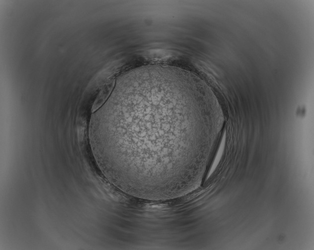 X0000090600283200707311207