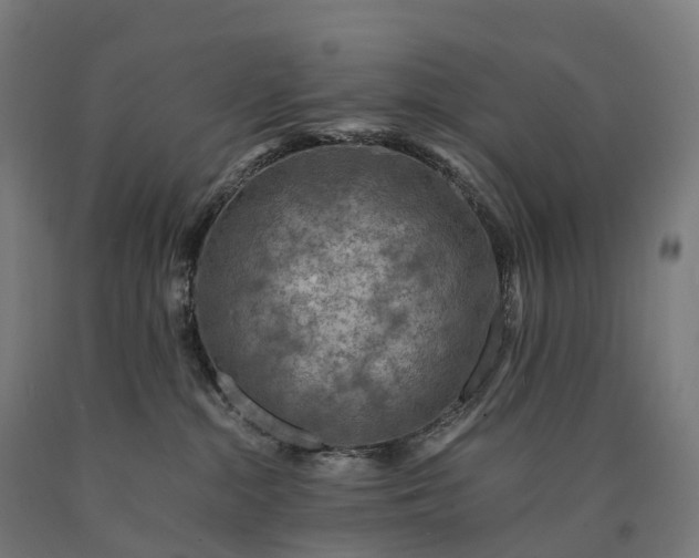 X0000090600284200707311207