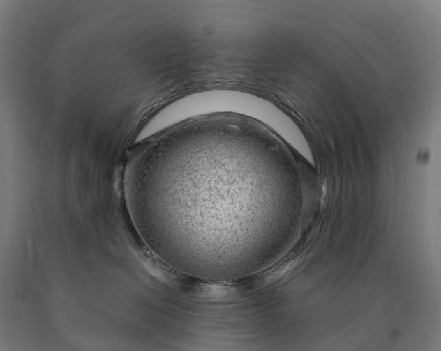 X0000090600286200707311207