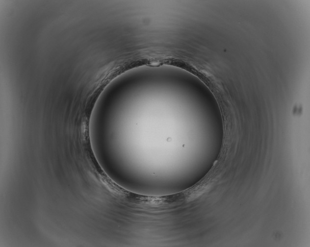 X0000090600288200707311207