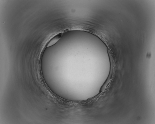 X0000090600289200707311207