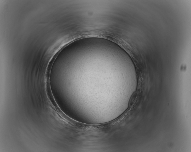 X0000090600290200707311207