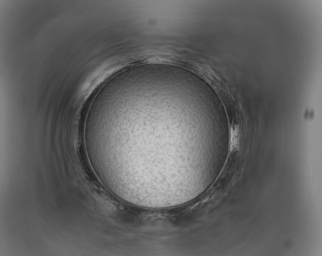 X0000090600291200707311207