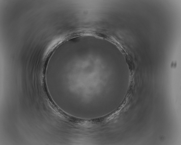 X0000090600293200707311207