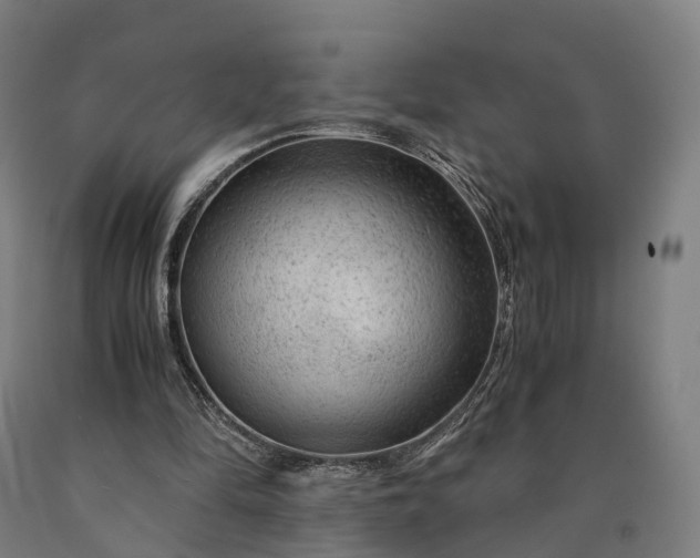 X0000090600294200707311207