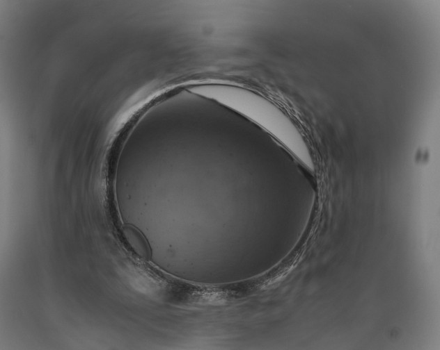 X0000090600295200707311207