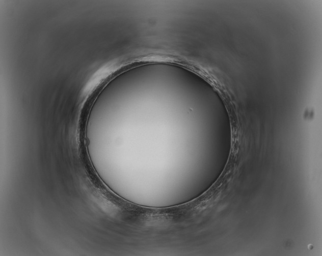 X0000090600296200707311207