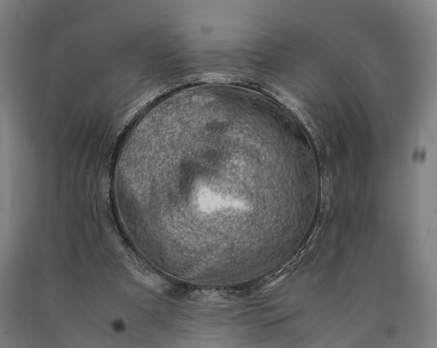 X0000090600297200707311207