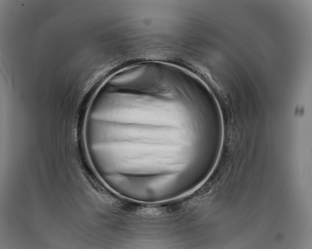 X0000090600299200707311207