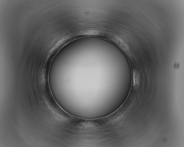 X0000090600300200707311207