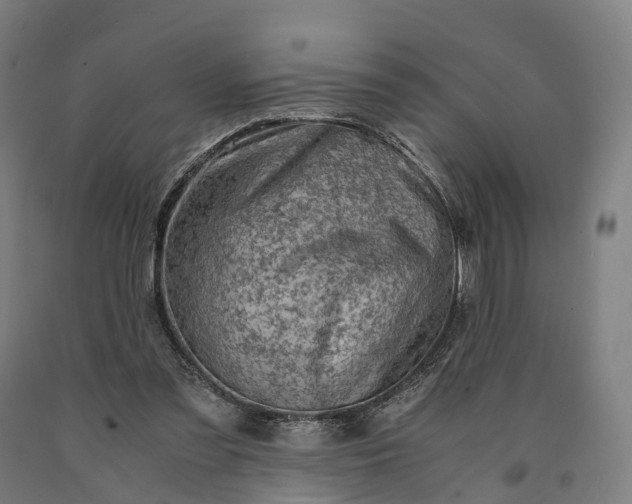 X0000090600301200707311207