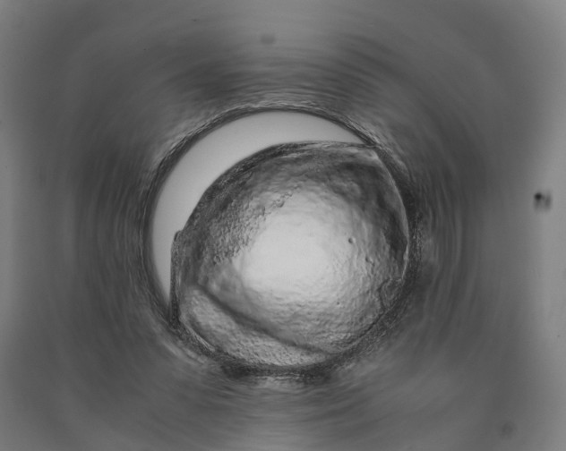 X0000090600303200707311207