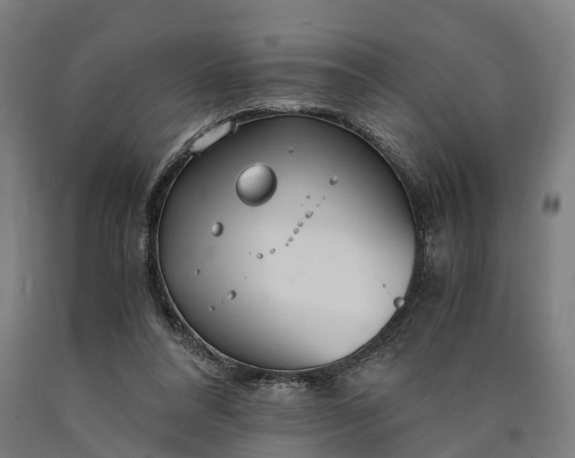 X0000090600304200707311207