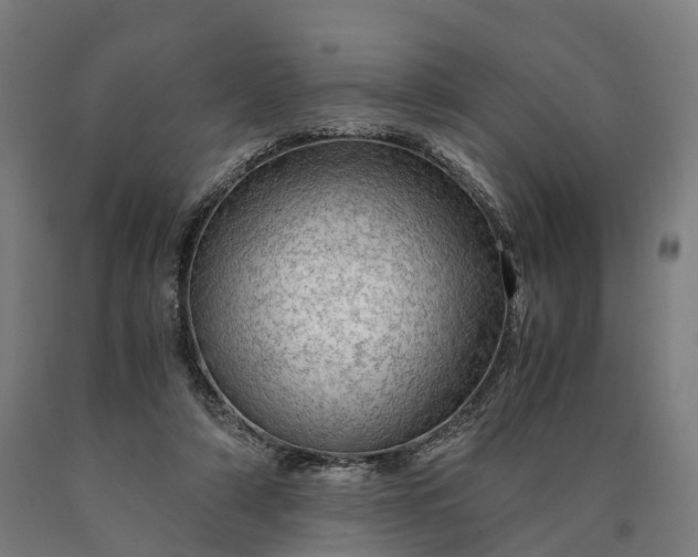 X0000090600306200707311207