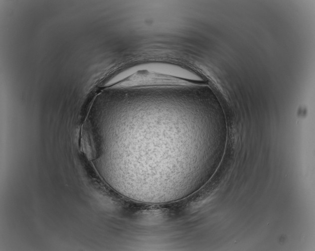 X0000090600307200707311207