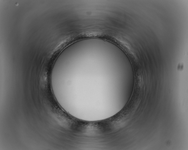 X0000090600308200707311207