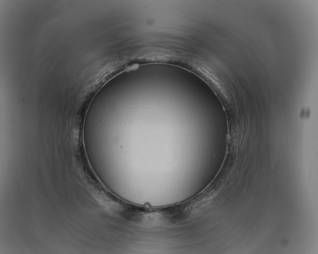 X0000090600309200707311207