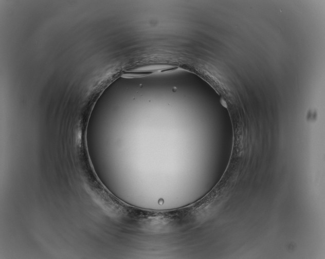 X0000090600310200707311207