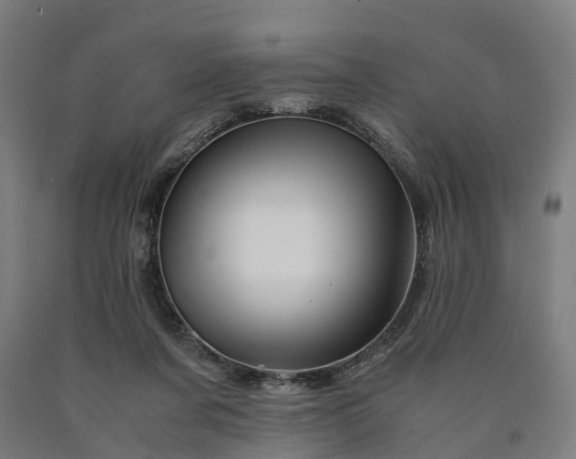 X0000090600311200707311207