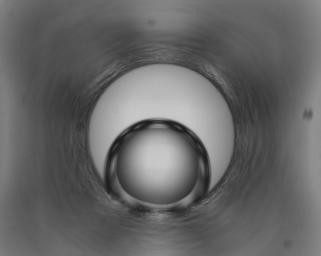 X0000090600313200707311207