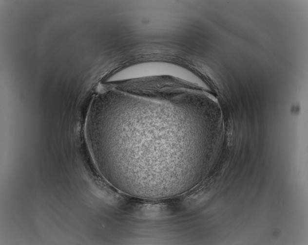 X0000090600314200707311207