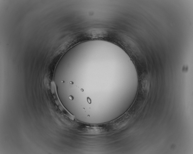 X0000090600316200707311206